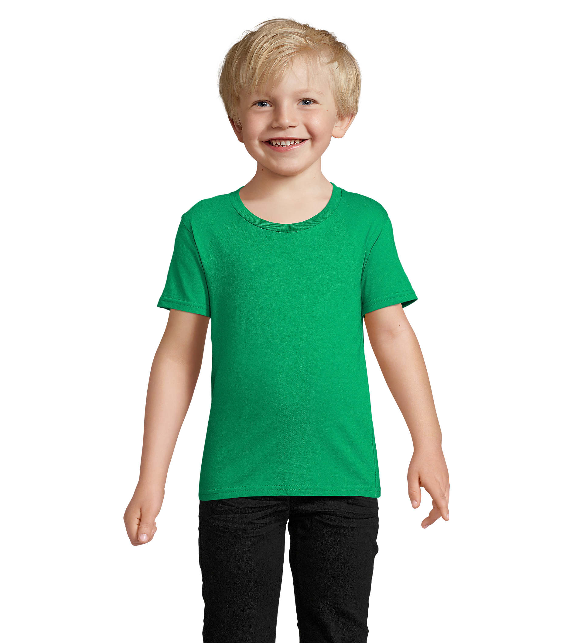 CRUSADER KIDS - 03580 Verde Foglia