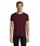 Pittogramma REGENT FIT - 00553 Oxblood