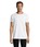 Pittogramma REGENT FIT - 00553 Bianco