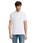 Pittogramma PRIME MEN - 00571 Cenere