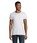 Pittogramma PIONEER MEN - 03565 Cenere
