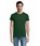 Pittogramma PIONEER MEN - 03565 Verde Bottiglia