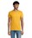 Pittogramma PIONEER MEN - 03565 Oro