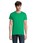 Pittogramma PIONEER MEN - 03565 Verde Foglia