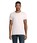 Pittogramma PIONEER MEN - 03565 Rosa Chiaro