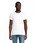 Pittogramma PIONEER MEN - 03565 Bianco