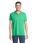 Pittogramma PLANET MEN - 03566 Verde Primavera