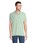 Pittogramma PLANET MEN - 03566 Frozen Green