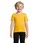 Pittogramma PIONEER KIDS - 03578 Oro