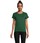 Pittogramma PIONEER WOMEN - 03579 Verde Bottiglia