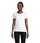 Pittogramma PIONEER WOMEN - 03579 Bianco