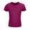 Pittogramma CRUSADER KIDS - 03580 Fuchsia