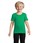 Pittogramma CRUSADER KIDS - 03580 Verde Foglia