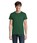 Pittogramma CRUSADER MEN - 03582 Verde Bottiglia