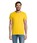 Pittogramma CRUSADER MEN - 03582 Oro