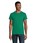 Pittogramma CRUSADER MEN - 03582 Verde Foglia