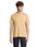 Pittogramma LEGEND - 03981 Beige Scuro