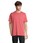 Pittogramma LEGEND - 03981 Folk Pink Twin