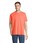 Pittogramma LEGEND - 03981 Pop Orange