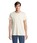 Pittogramma RE CRUSADER - 04233 Naturale