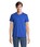 Pittogramma REGENT V - 04765 Blu Royal