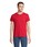 Pittogramma REGENT V - 04765 Rosso