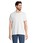 Pittogramma REGENT V - 04765 Bianco