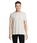 Pittogramma REGENT V - 04765 Bianco Sporco