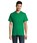 Pittogramma VICTORY - 11150 Verde Foglia