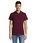 Pittogramma SUMMER II - 11342 Burgundy