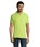 Pittogramma PERFECT MEN - 11346 Apple Green