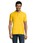 Pittogramma PERFECT MEN - 11346 Oro