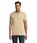 Pittogramma PERFECT MEN - 11346 Sand