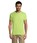 Pittogramma REGENT - 11380 Apple Green