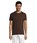 Pittogramma REGENT - 11380 Chocolate