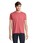 Pittogramma REGENT - 11380 Folk Pink Twin