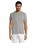 Pittogramma REGENT - 11380 Grigio Melange