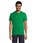 Pittogramma REGENT - 11380 Verde Foglia