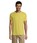 Pittogramma REGENT - 11380 Giallo Limone