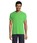 Pittogramma REGENT - 11380 Lime
