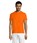Pittogramma REGENT - 11380 Arancione
