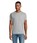 Pittogramma REGENT - 11380 Grigio Puro