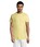 Pittogramma REGENT - 11380 Giallo Pallido