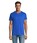 Pittogramma REGENT - 11380 Blu Royal