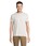 Pittogramma REGENT - 11380 Bianco Sporco