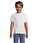 Pittogramma REGENT KIDS - 11970 Bianco