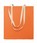 Pittogramma ZEVRA COLOUR - MO2868 Arancio